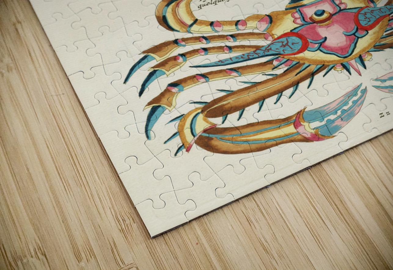 Colourful and surreal illustrations of fishes lobster and crab found in the Indian and Pacific Oceans by Louis Renard 1678 -1746 from Histoire naturelle des plus rares curiositez de la mer des Indes 1754. IStockHistory com Puzzle