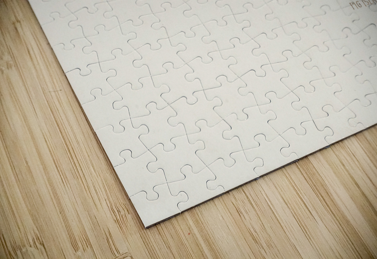 Antique fish athennidae South Pacific Fishes by Frank Edward Clarke 1849-1899.  IStockHistory com Puzzle