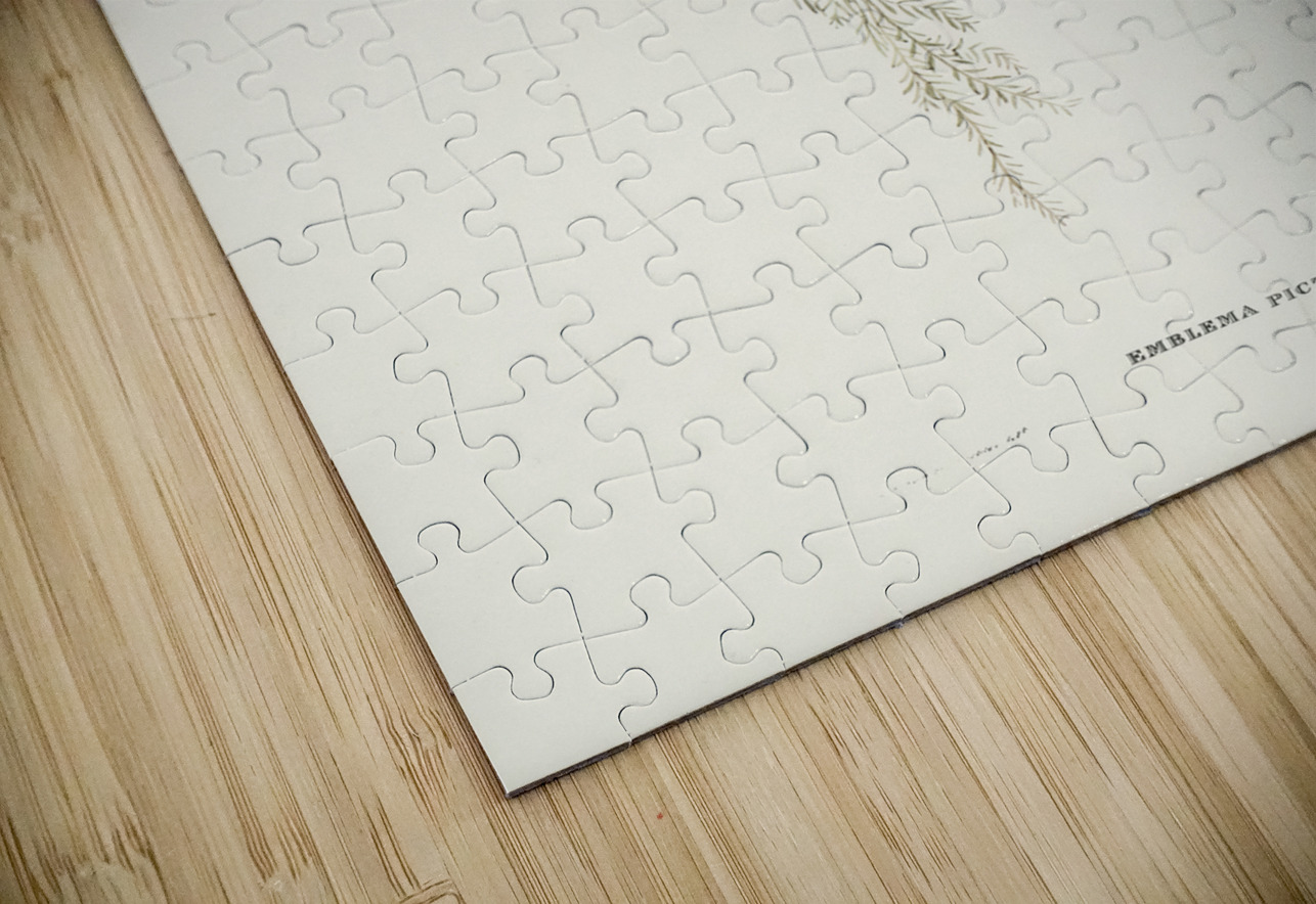 Painted Finch Emblema picta illustrated by Elizabeth Gould 1804–1841 for John Gould’s 1804-1881 Birds of Australia  IStockHistory com Puzzle