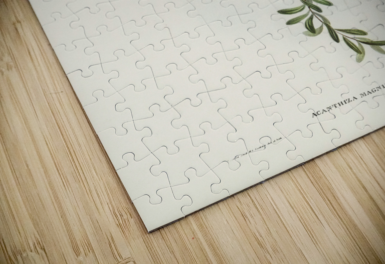 Large-billed Sericornis Sericornis magnirostris illustrated by Elizabeth Gould 1804–1841 for John Gould’s 1804-1881 Birds of Australia  IStockHistory com Puzzle