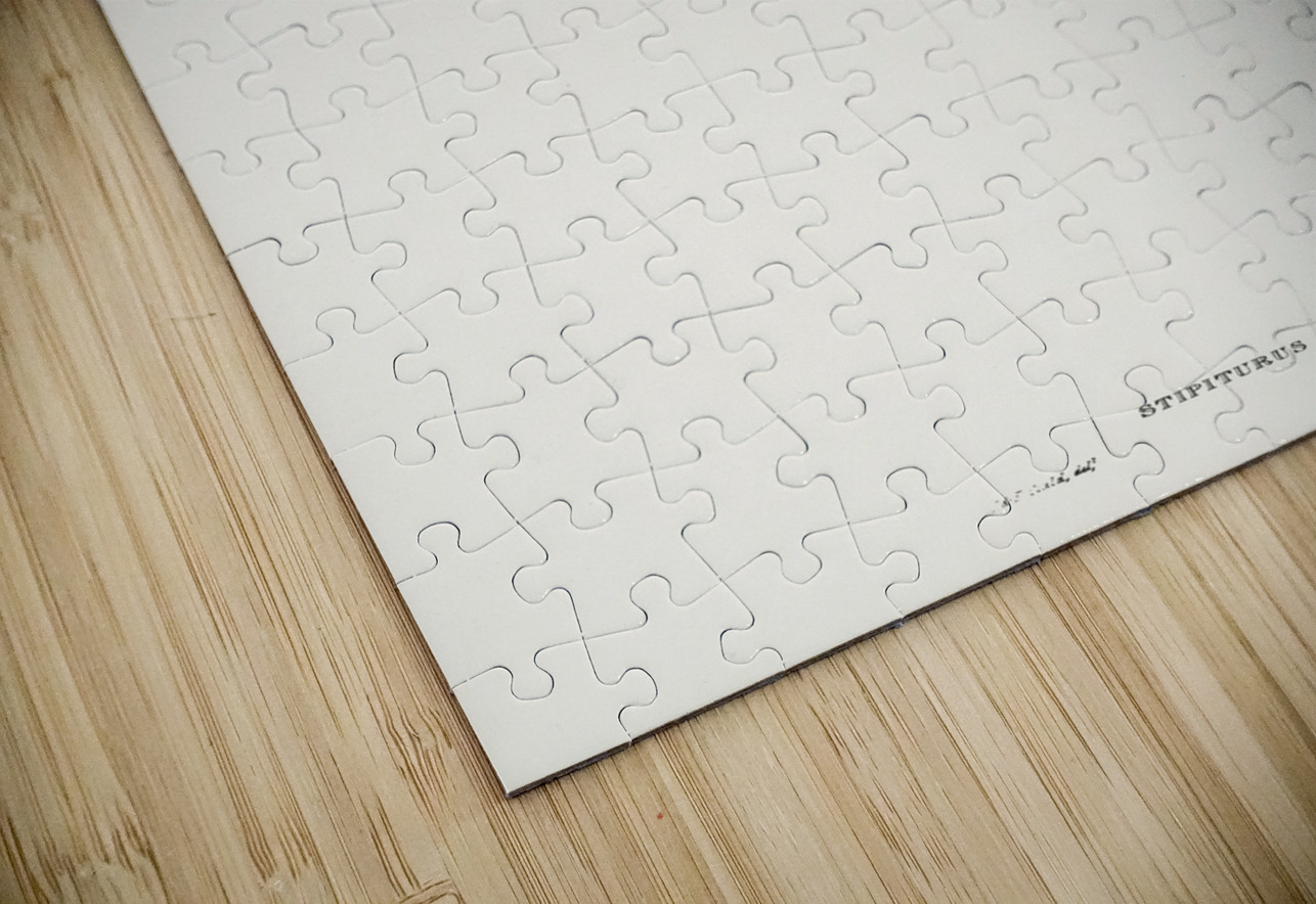 Emu Wren tipiturus malachurus illustrated by Elizabeth Gould 1804–1841 for John Gould’s 1804-1881 Birds of Australia  IStockHistory com Puzzle