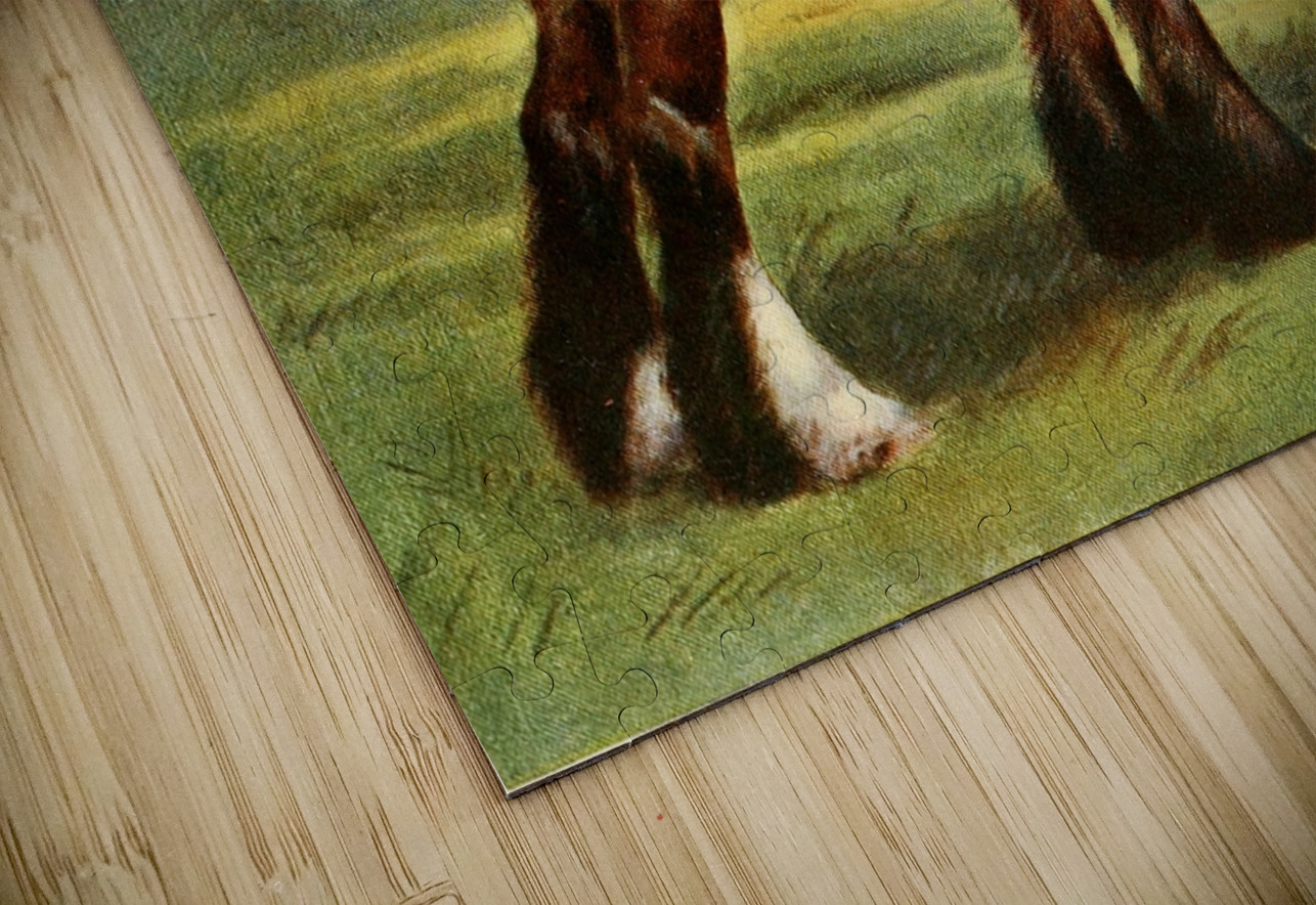 Shire Stallion Halstead Royal Duke John Hanson Walker Jr. English 1844-1933 IStockHistory com Puzzle