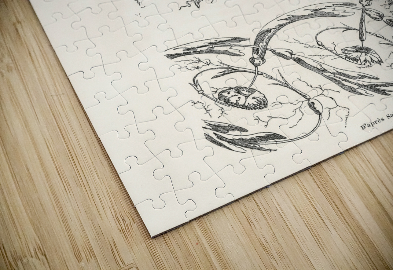 Antique illustrations. 1888 edition Lornement Polychrome by Albert Racine 1825–1893. IStockHistory com Puzzle