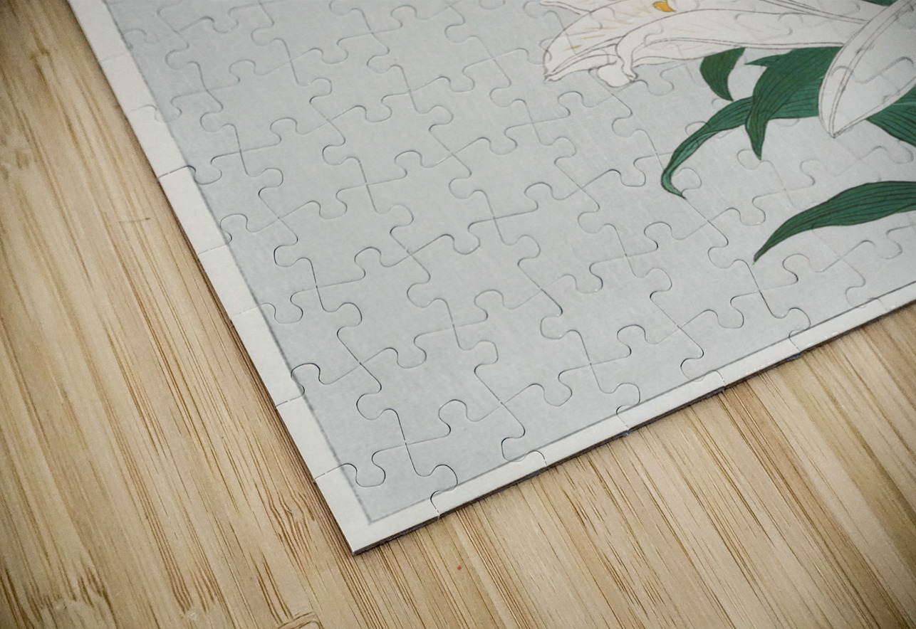 Lilies Ohara  1920 - 1930 by Ohara Koson 1877-1945. IStockHistory com Puzzle