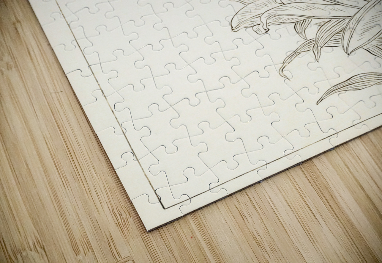 Rabbit at full moon 1900 - 1930 by Ohara Koson 1877-1945. IStockHistory com Puzzle