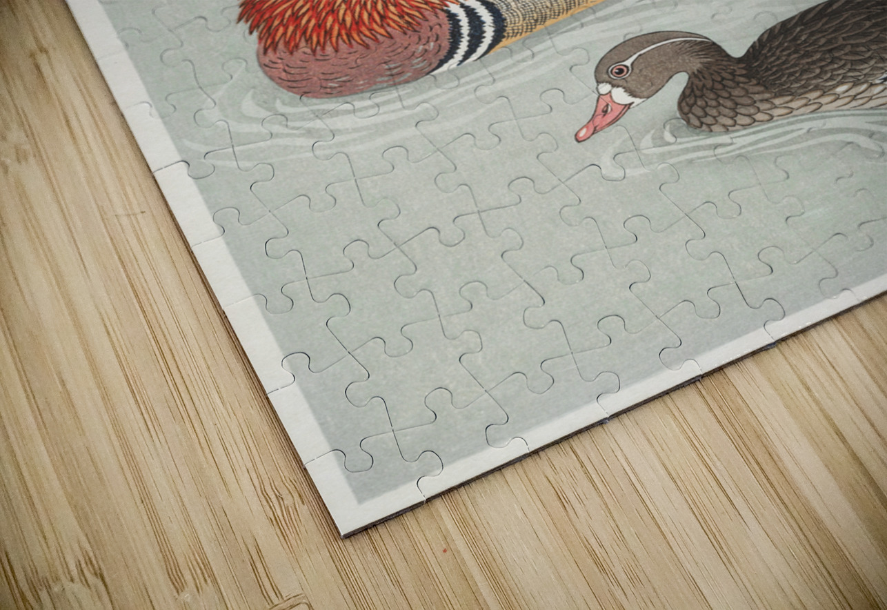 Mandarin ducks 1925 - 1936 by Ohara Koson 1877-1945. IStockHistory com Puzzle