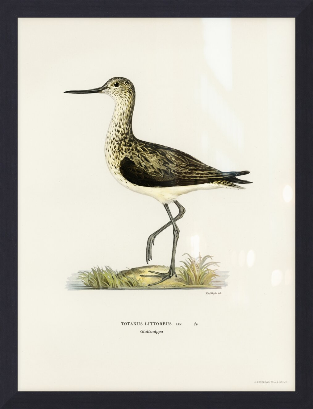 Impression de cadre personnalisé