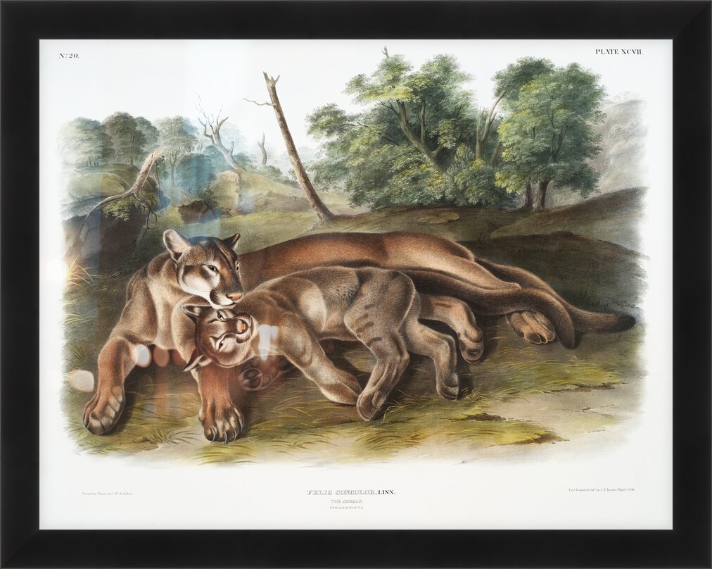 Impression de cadre personnalisé