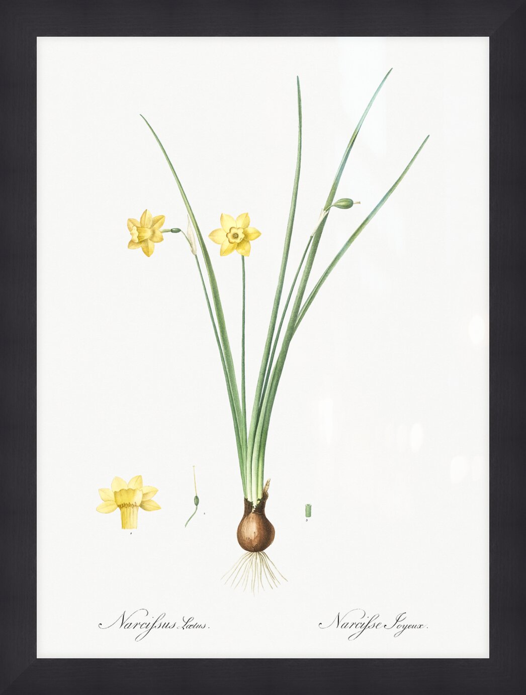 Impression de cadre personnalisé