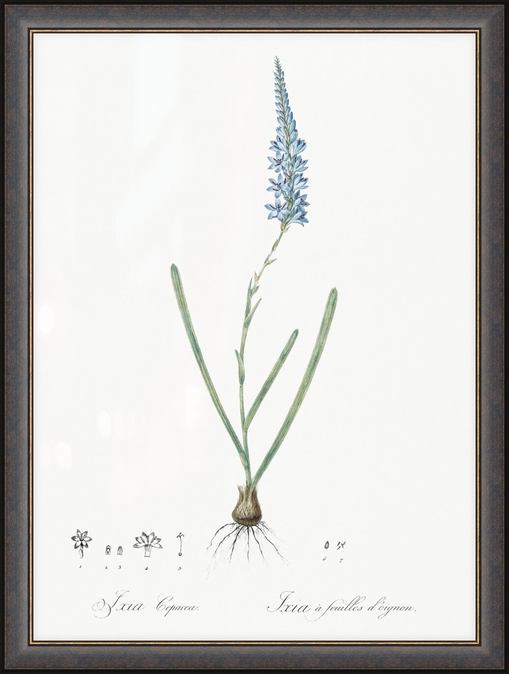 Impression de cadre personnalisé