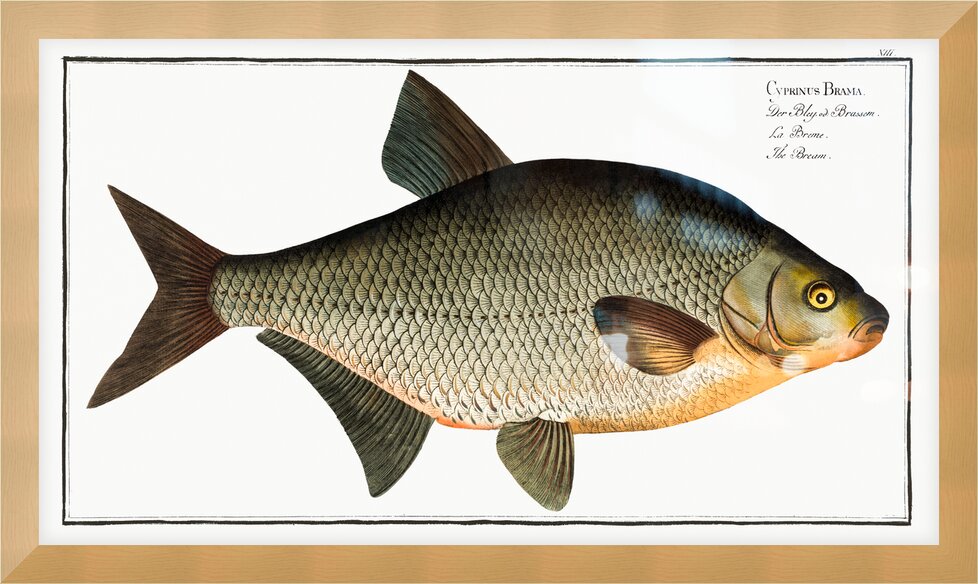 Impression de cadre personnalisé