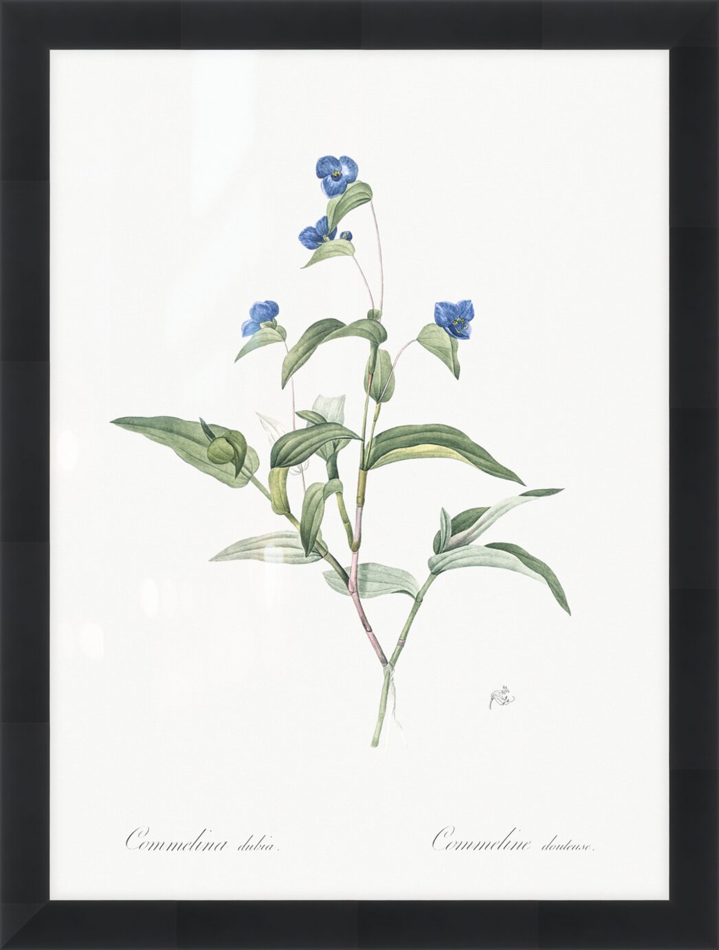 Impression de cadre personnalisé