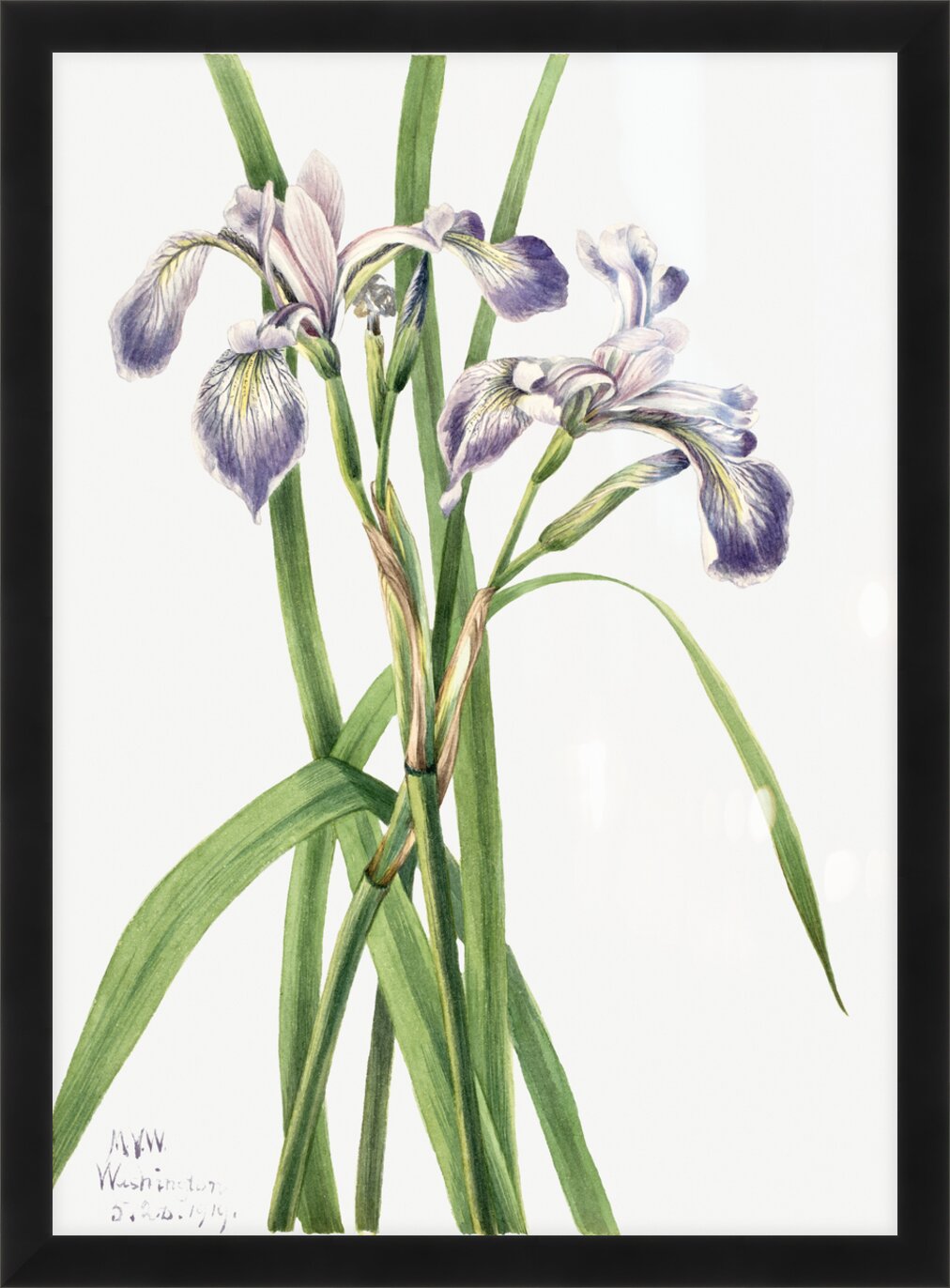 Impression de cadre personnalisé