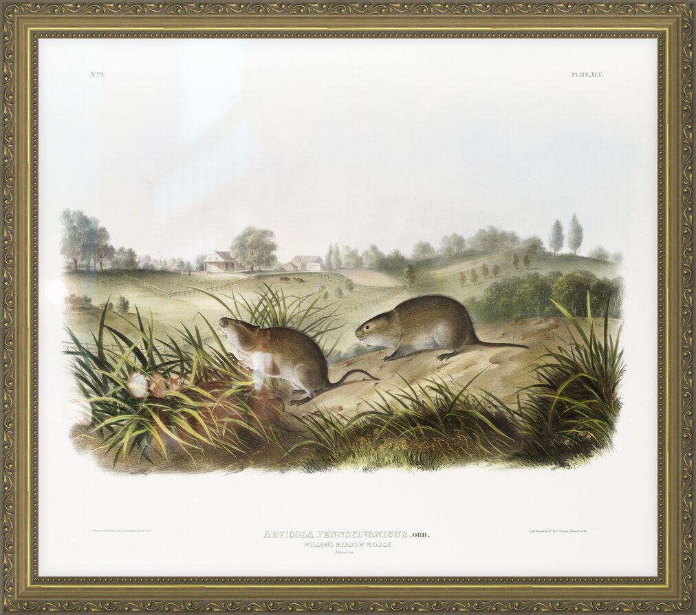 Impression de cadre personnalisé