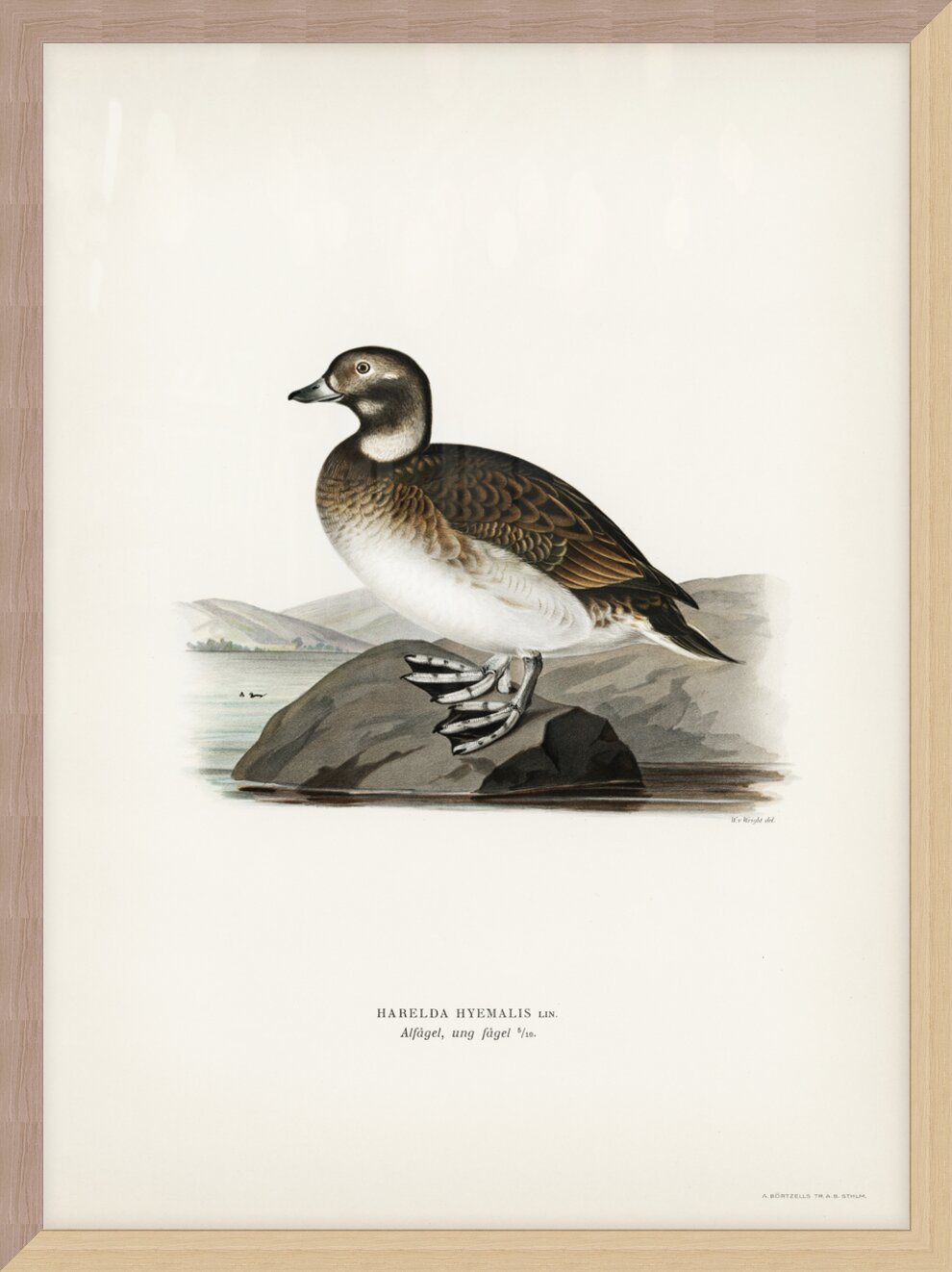 Impression de cadre personnalisé