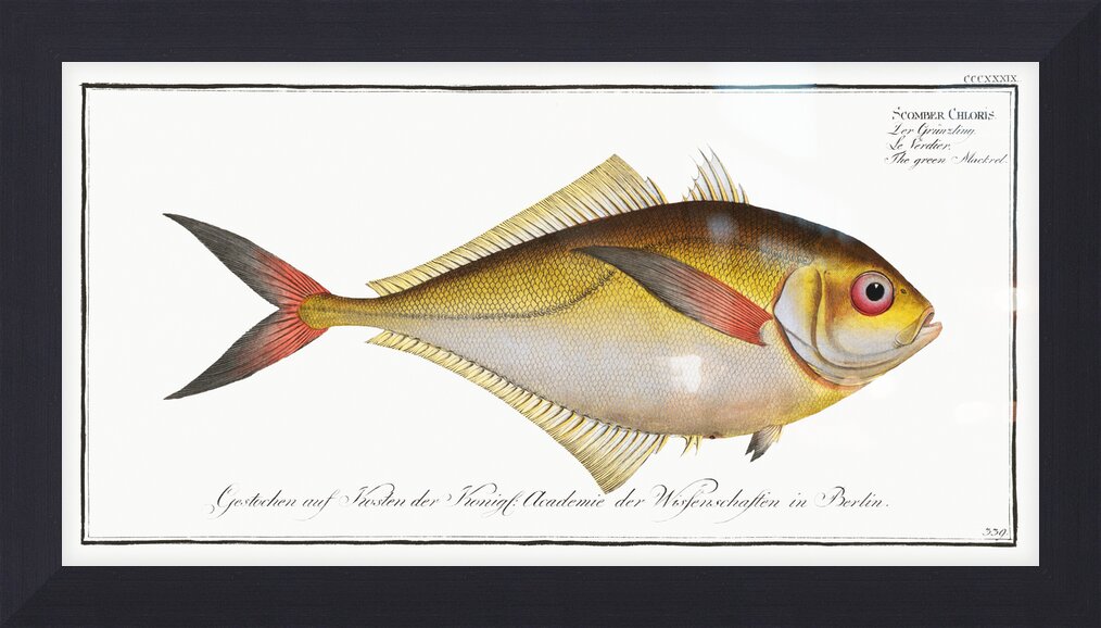 Impression de cadre personnalisé