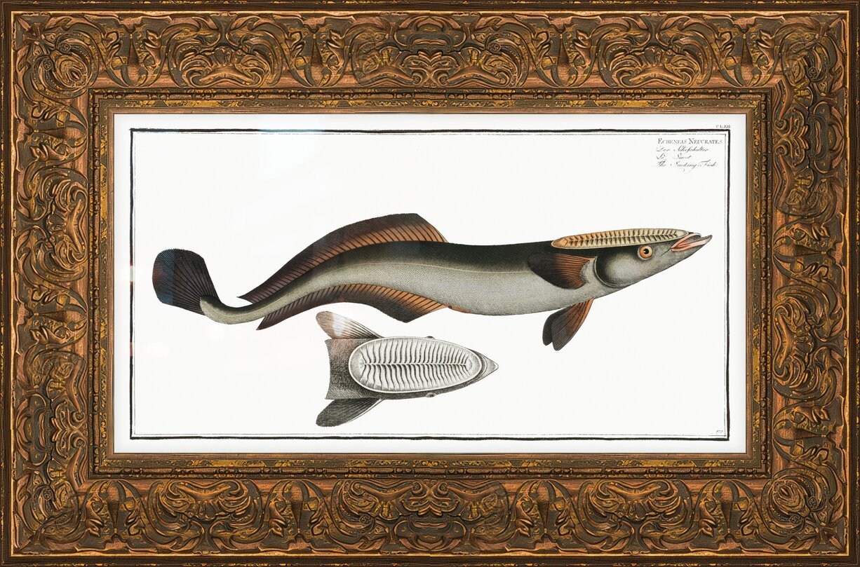 Impression de cadre personnalisé