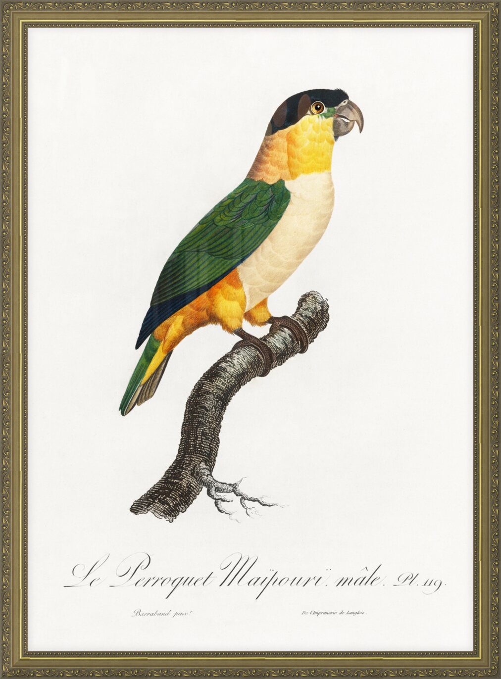 Impression de cadre personnalisé