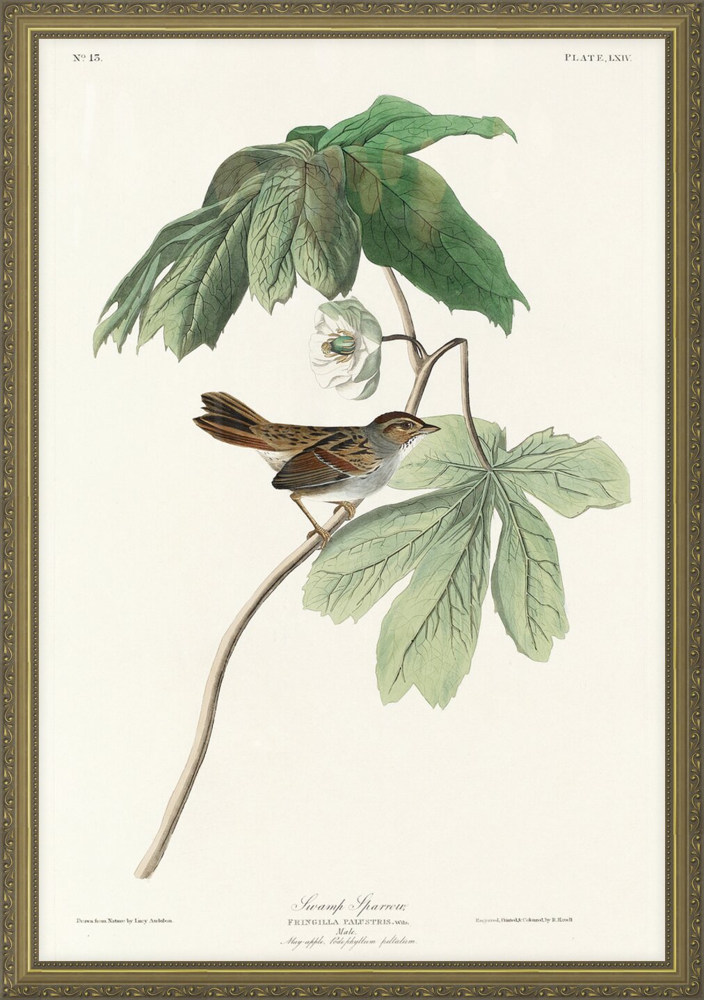 Impression de cadre personnalisé