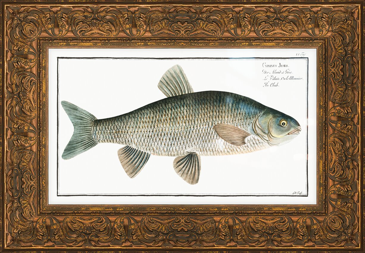 Impression de cadre personnalisé