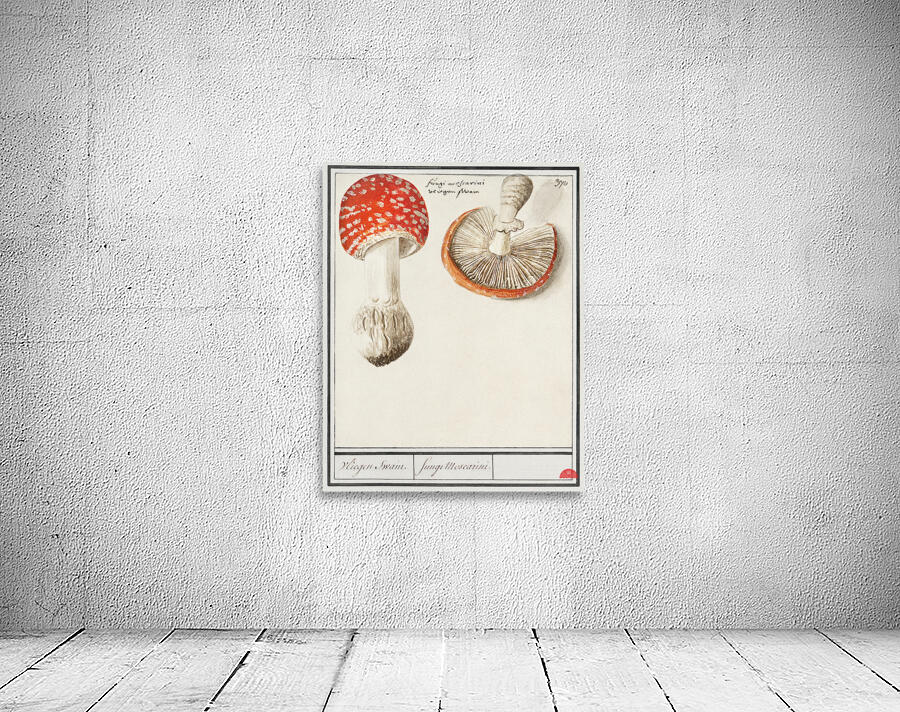 Mushrooms in vintage style Wall Preview