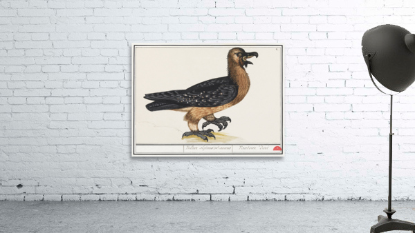 Lammergeier in vintage style Wall Preview