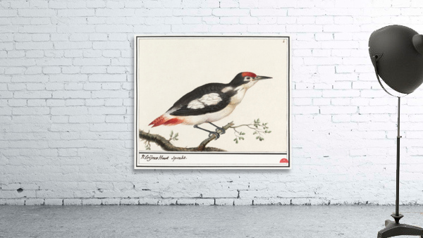 Lesser spotted woodpecker in vintage style Wall Preview