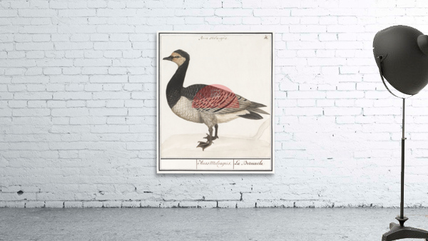 Domestic goose in vintage style Wall Preview