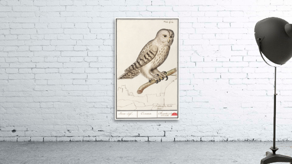 European green woodpecker in vintage style Wall Preview