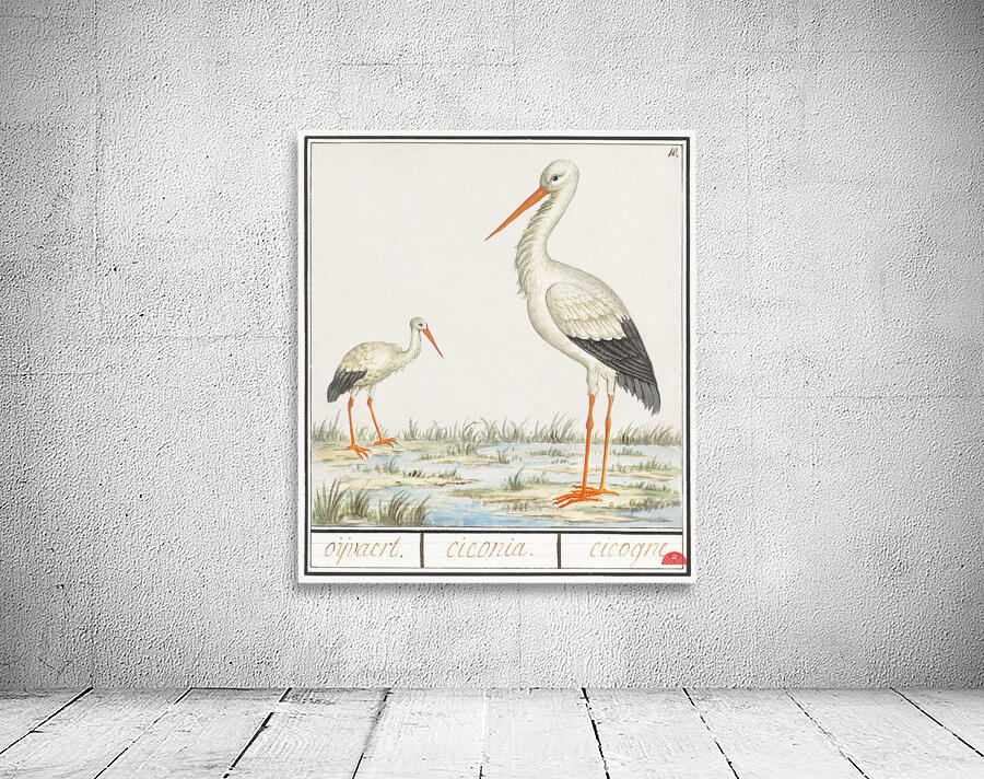 Stork in vintage style Wall Preview