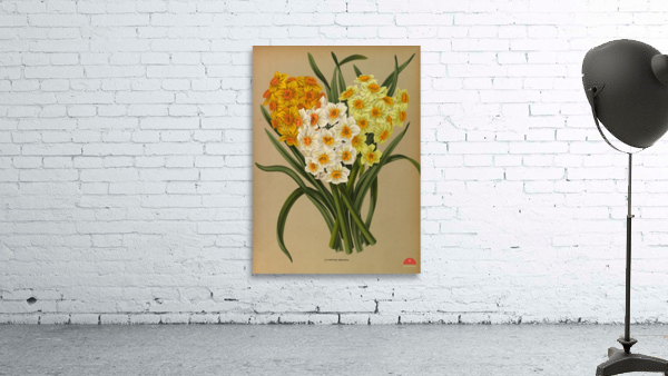 Album van Eeden : Haarlems flora : 1872-1881 Wall Preview