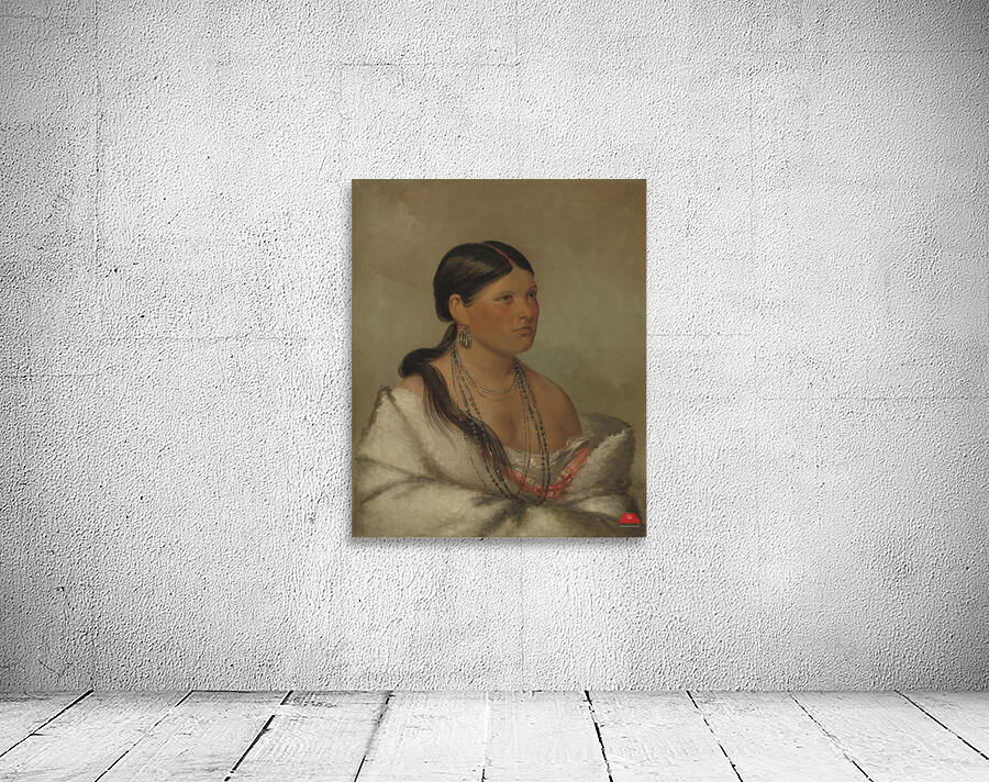 The Female Eagle – Shawano 1830 Wall Preview