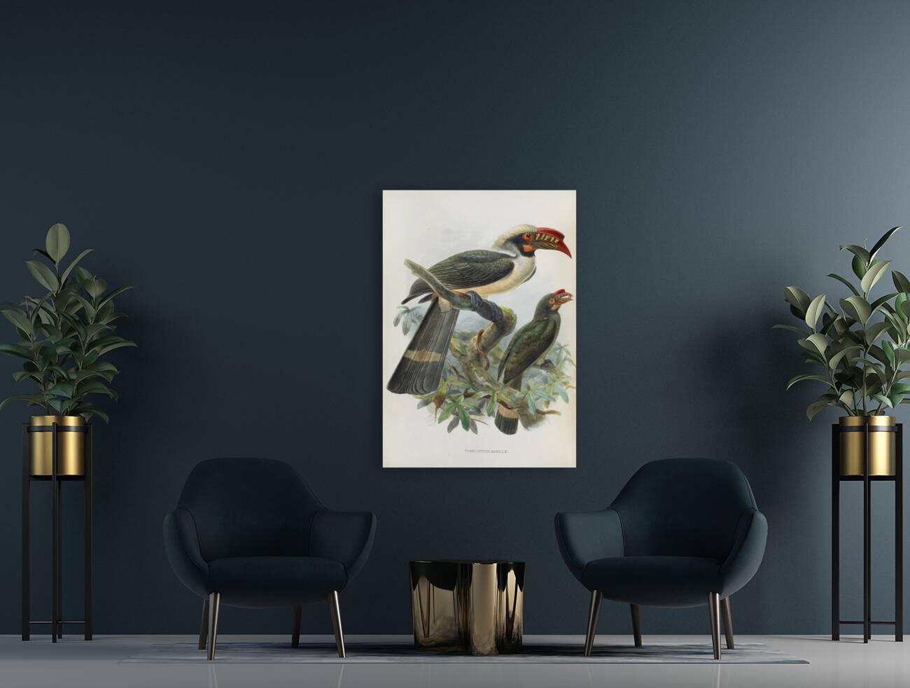 Penelopides manillae 1882 Reproduction