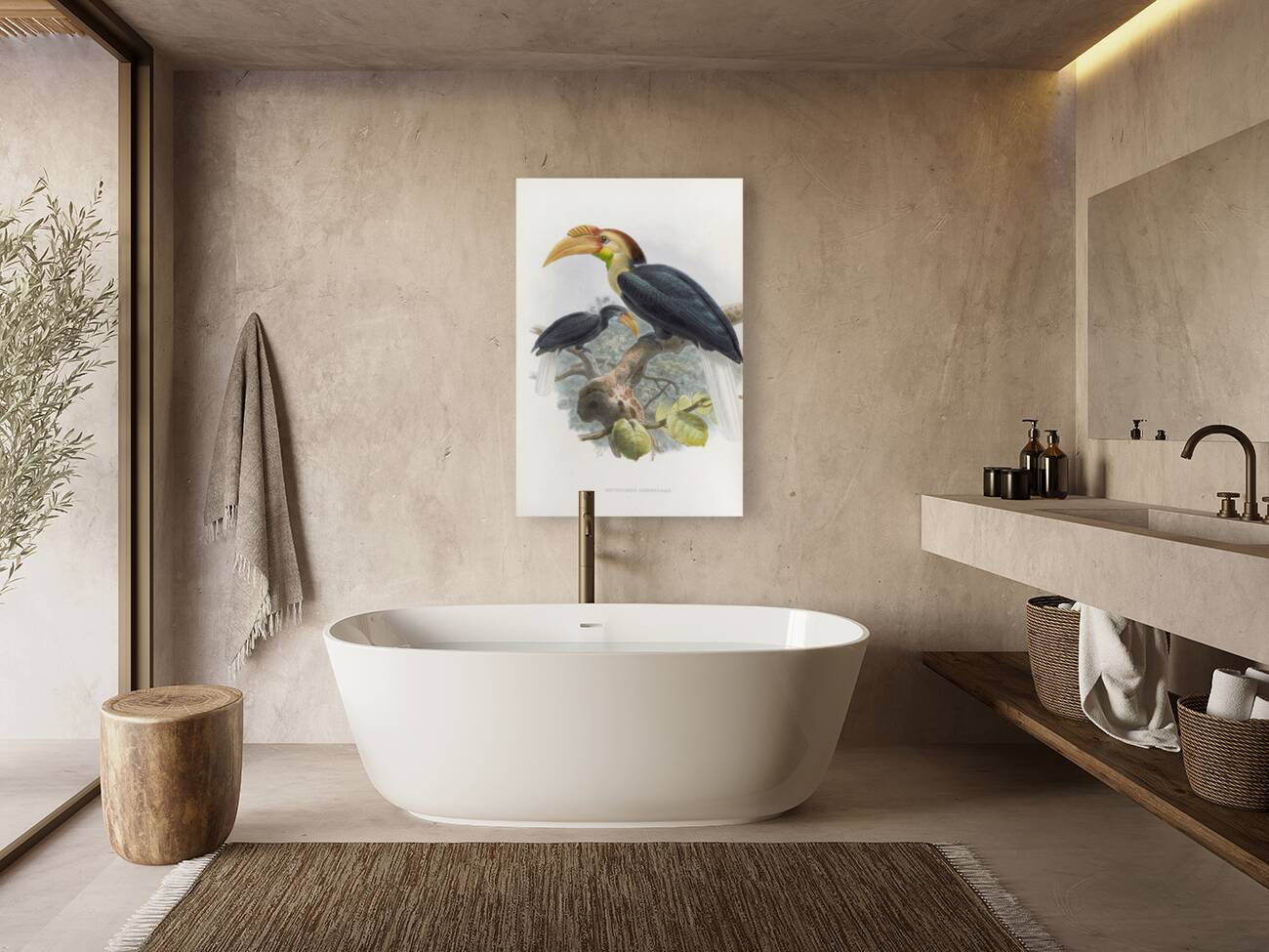 Rhytidoceros subruficollis 1882 Reproduction