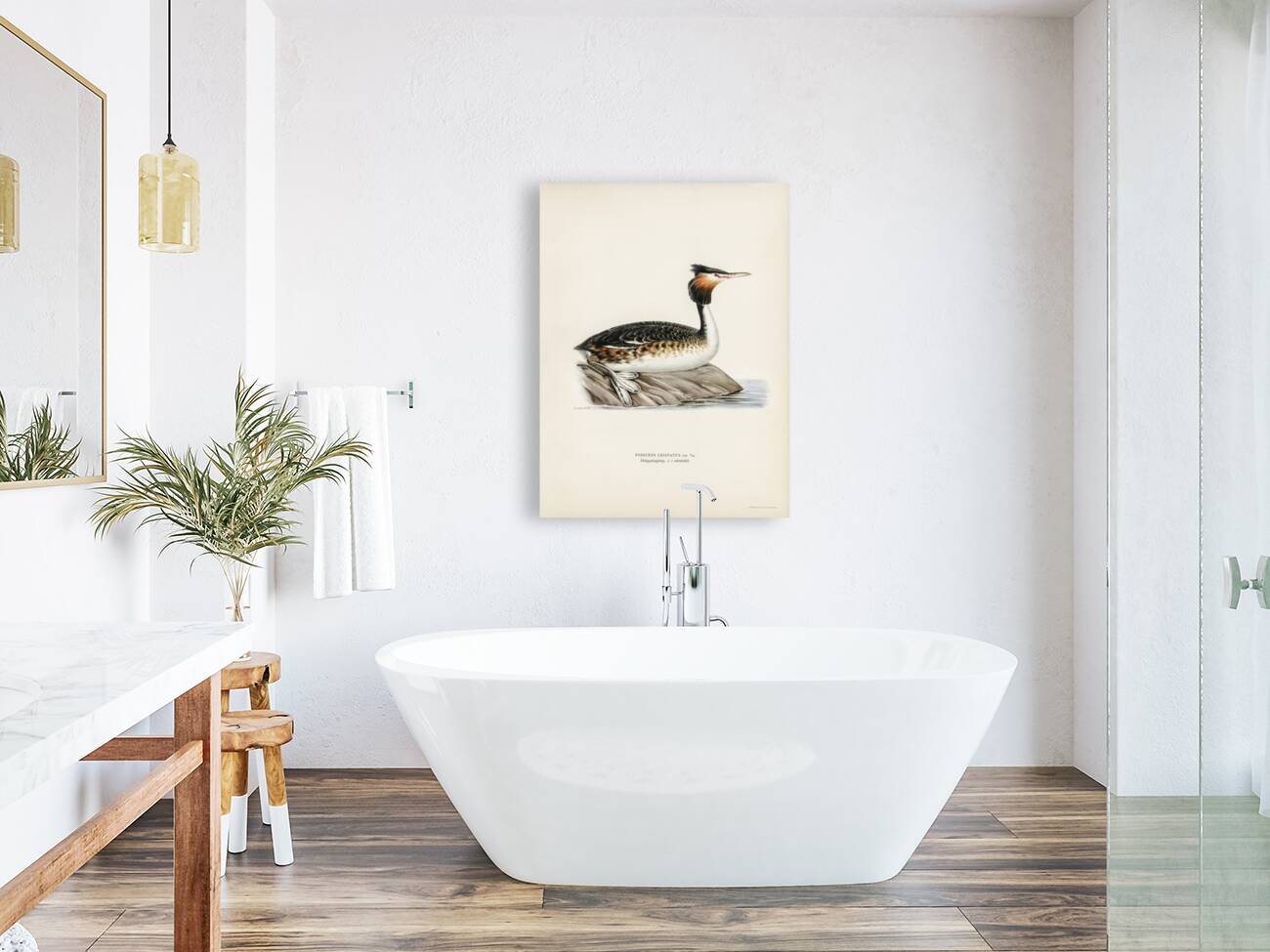 Podiceps cristatus Reproduction