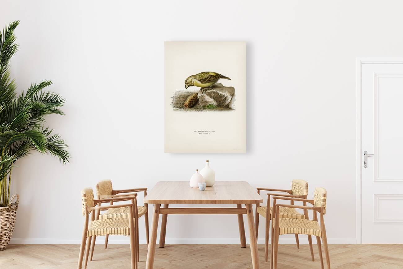 Parrot crossbill Loxia pytyopsittacus Reproduction