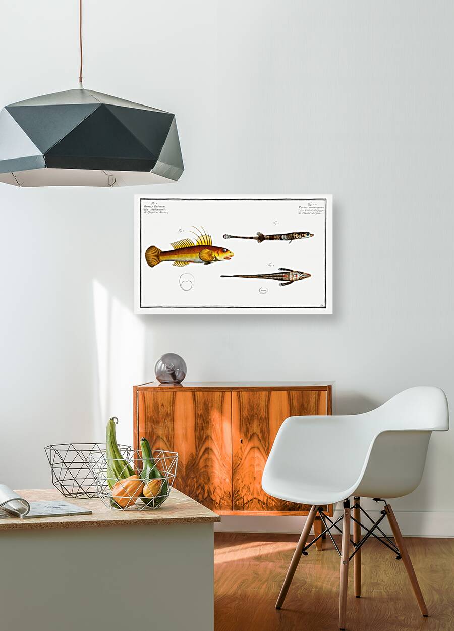 1. 2. Cottus monopterigius 3. Gobius Plümieri Reproduction