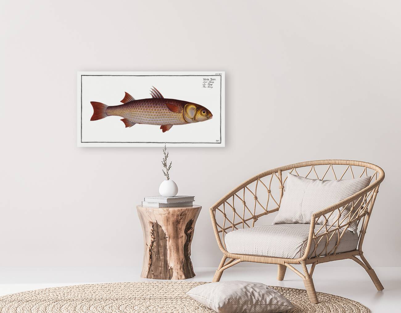 Tang Mugil Tang Reproduction