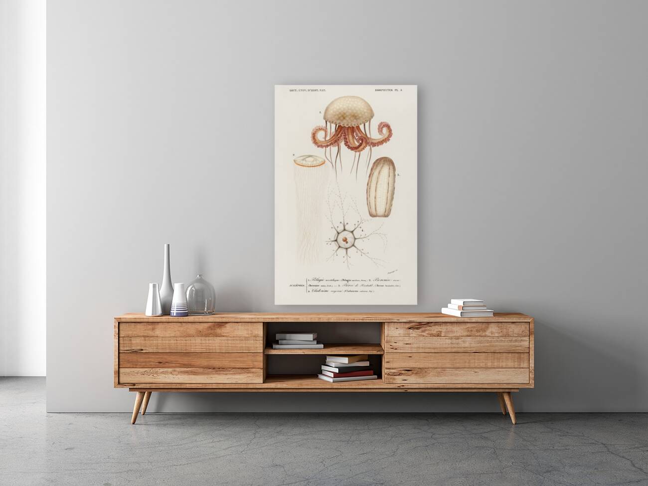 Different types of marine life Reproduction