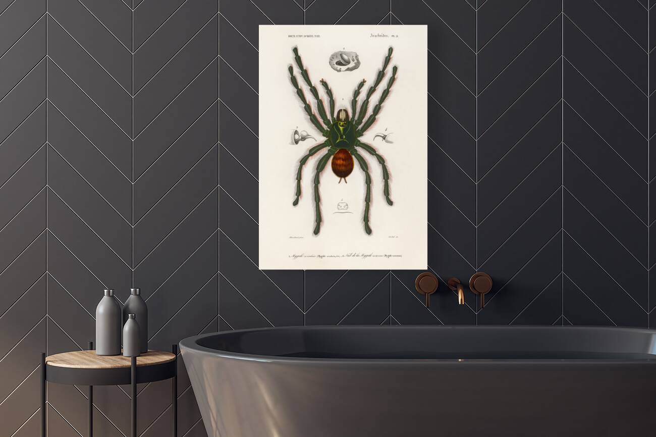 Sea Island cotton gossypium vitifolium Reproduction