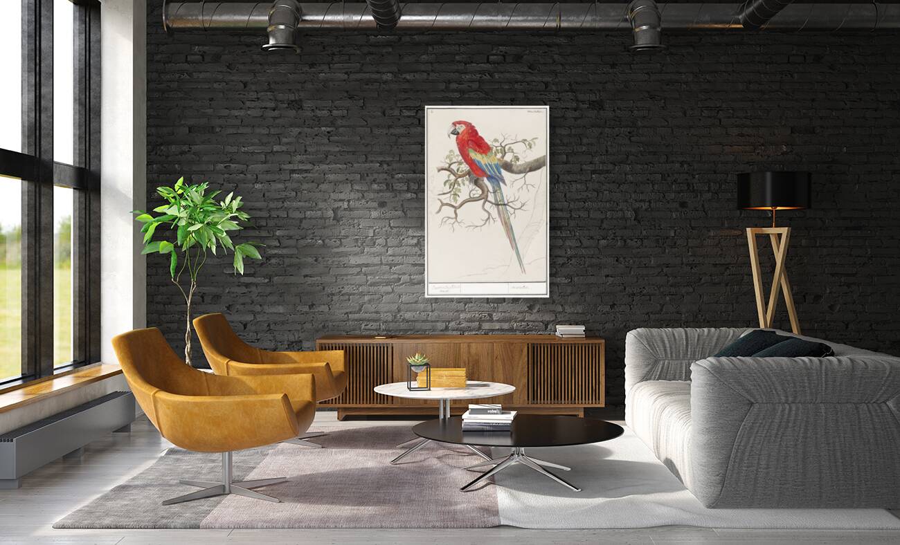 Scarlet macaw in vintage style Reproduction