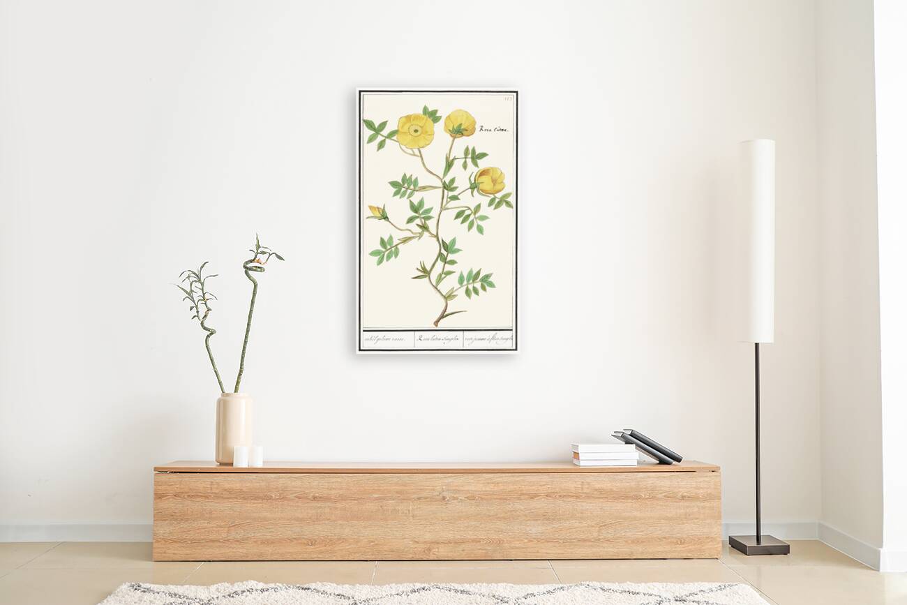 Yellow rose in vintage style Reproduction