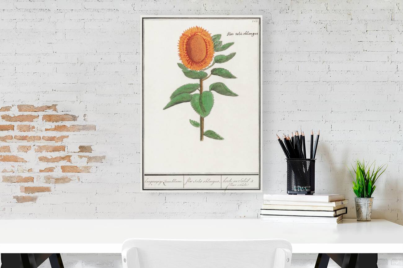 Sunflower in vintage style Reproduction