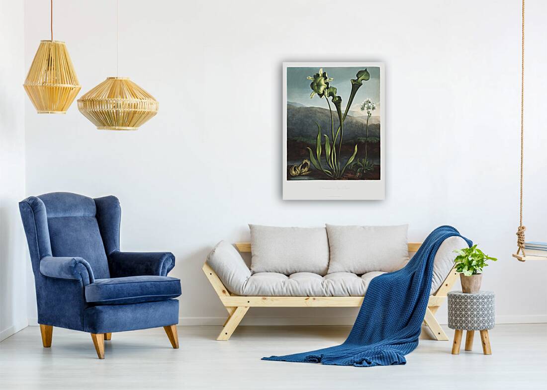 American Bog Plants Reproduction