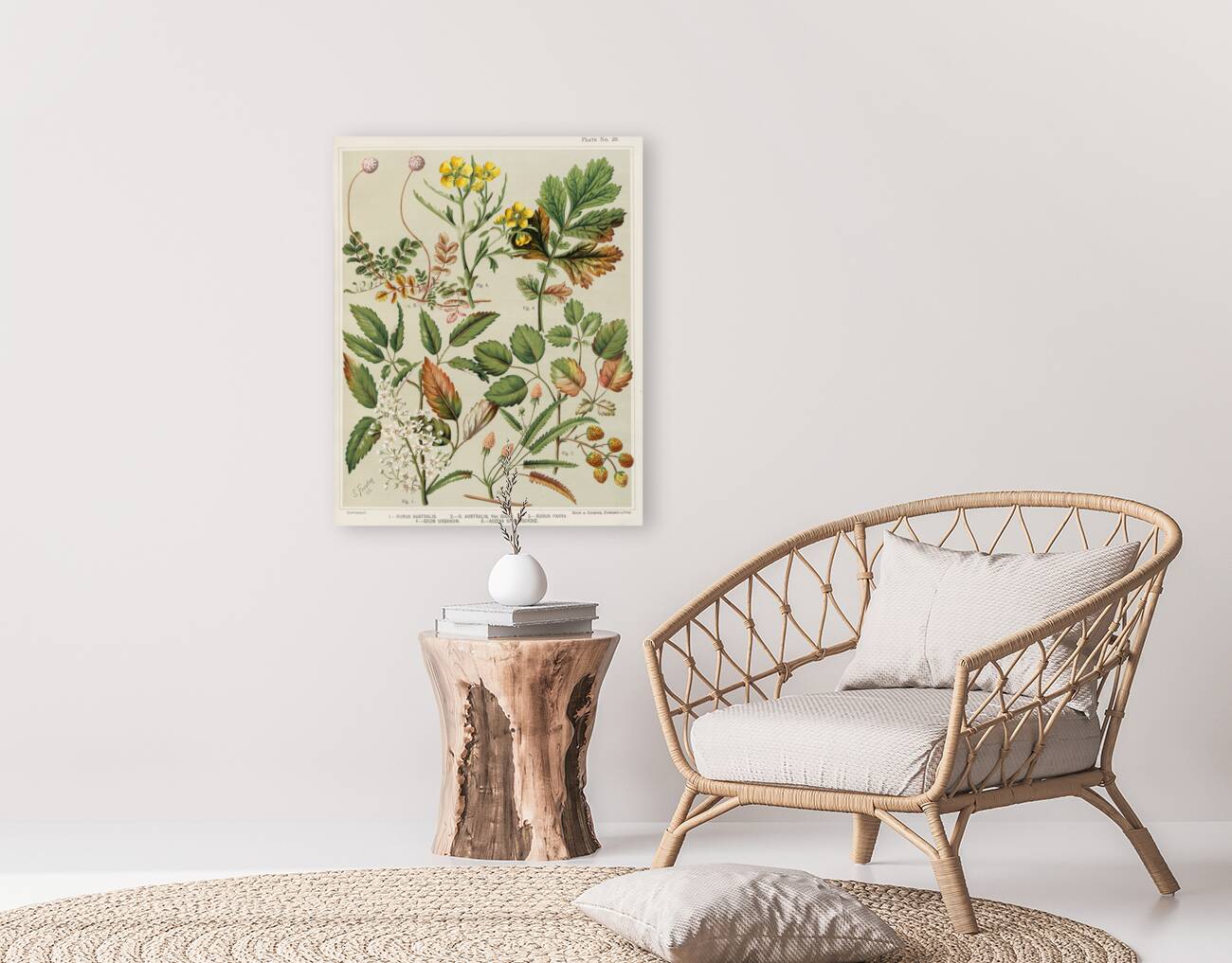 Sarah Featon 007 Reproduction