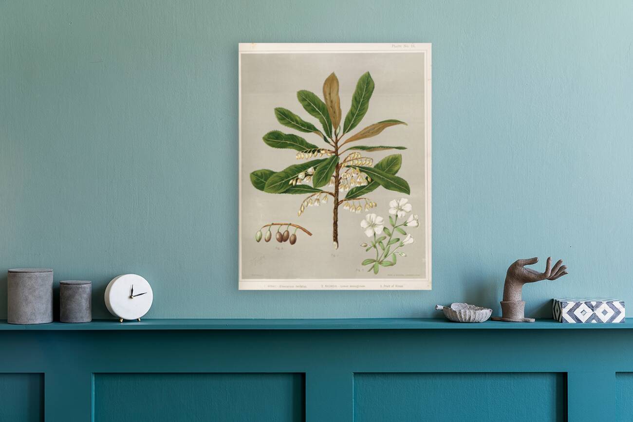 Sarah Featon 009 Reproduction