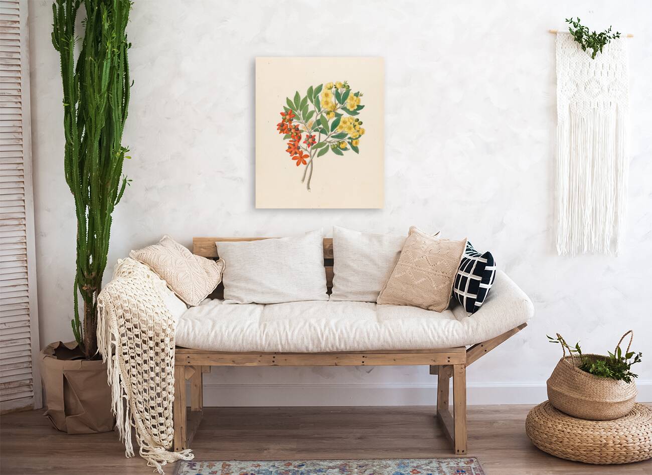 Icosandria monog. [Ochna arborea] 1817 Reproduction