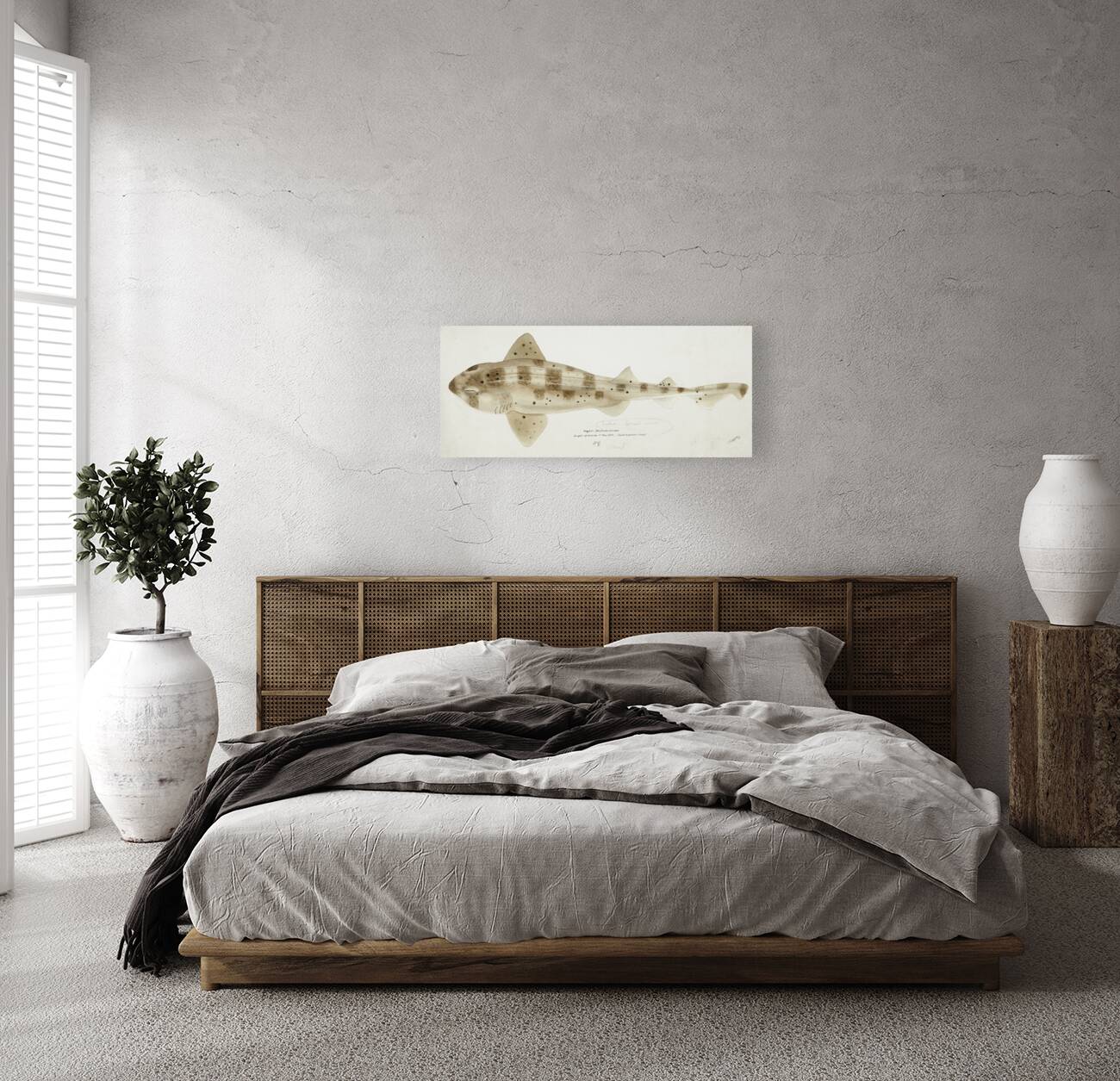 Antique fish Carpet Shark South Pacific Fishes by Frank Edward Clarke 1849-1899.  Reproduction