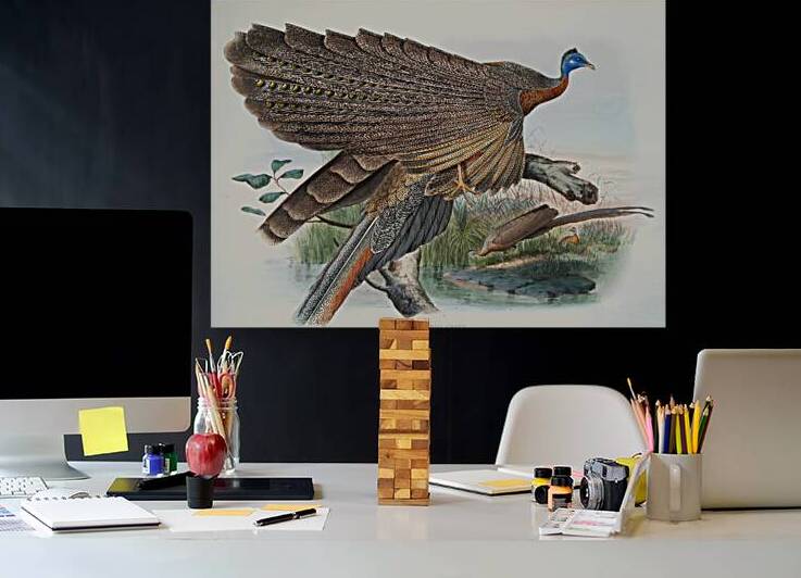 Argus Grayi. 1872 by IStockHistory com