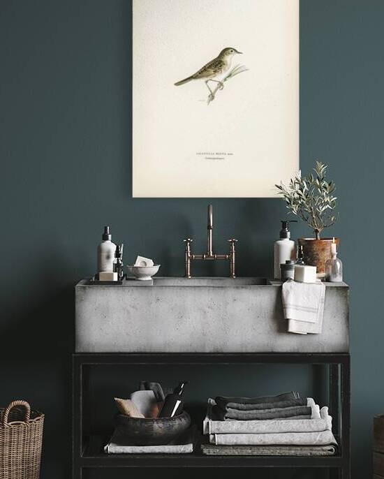 Locustella naevia by IStockHistory com